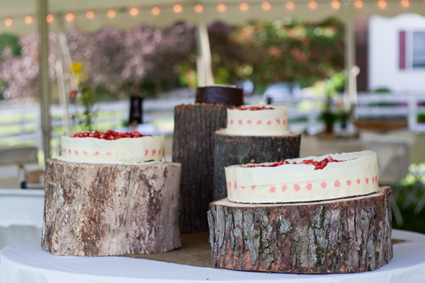 Cakes & Desserts by Jamie D Photography