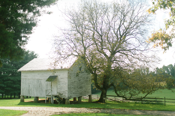 Venue Profile: Steppingstone Museum