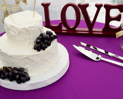 Shade Trees & Evergreens Wedding by Julia Conroy Photography