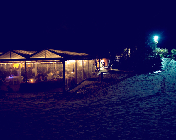 Shade Trees & Evergreens Wedding by Julia Conroy Photography