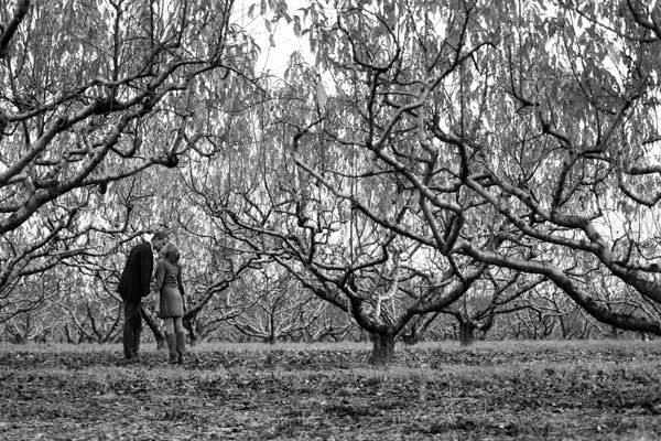 Forge Hill Orchard Engagement by Mary Neumann Photography