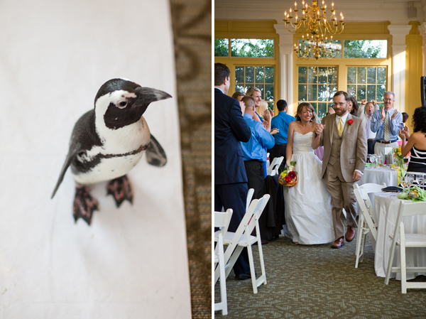 Maryland Zoo Wedding by Borrowed Blue Photography