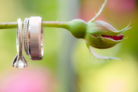 Suncrest Manor Wedding by Marcella Treybig Photography