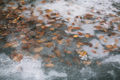 Patapsco Valley State Park Engagement by Val & Sarah