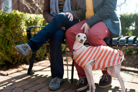 College Park Engagement by Maggie Winters Photography