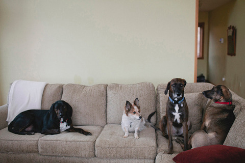 Cumberland Engagement Party by Sarah Gormley Photography