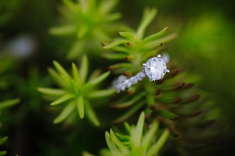 Baltimore Engagement by Natalie Franke Photography