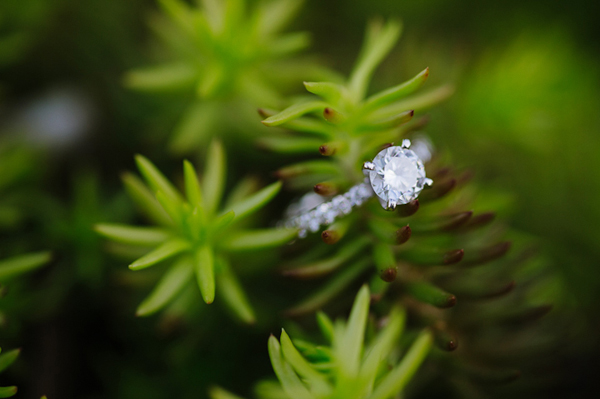 Baltimore Engagement by Natalie Franke Photography