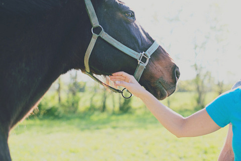 Maryland Farm Engagement by Jacquelyne Mae Photography