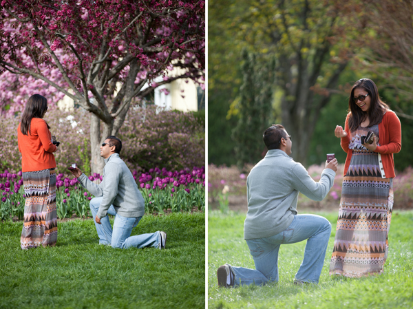 Sherwood Gardens Proposal by Liz & Ryan