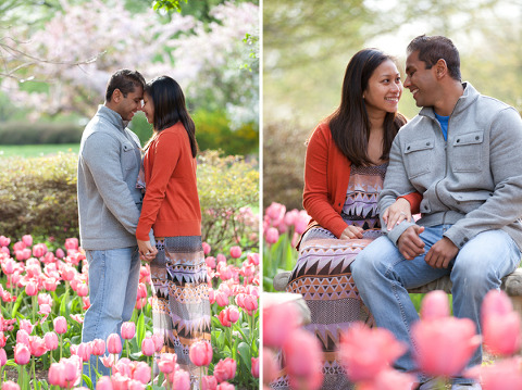 Sherwood Gardens Proposal by Liz & Ryan
