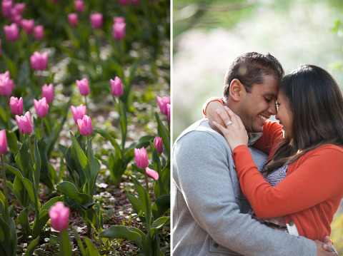 Sherwood Gardens Proposal by Liz & Ryan