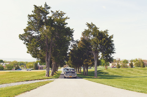 Walker's Overlook Wedding by Priscilla Thomas Photography