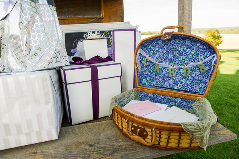 Walker's Overlook Wedding by Priscilla Thomas Photography