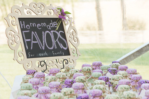 Walker's Overlook Wedding by Priscilla Thomas Photography