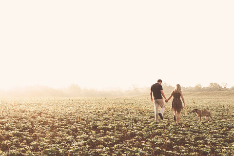 Frederick Sunrise Engagement by Nessa K Photography