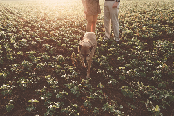 Frederick Sunrise Engagement by Nessa K Photography