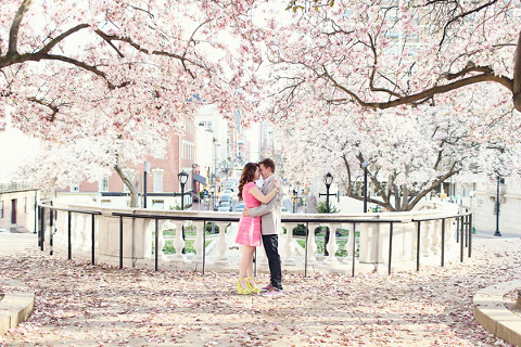 Mount Vernon Engagement by MISA ME Photography