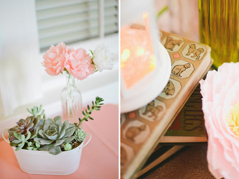 Maryland Zoo Wedding by Caitlin Gore Photography
