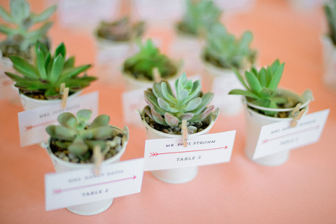 Maryland Zoo Wedding by Caitlin Gore Photography
