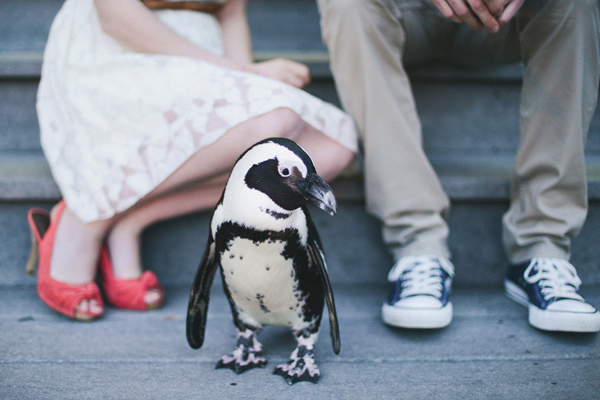 Maryland Zoo Wedding by Caitlin Gore Photography