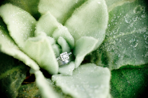 North Glade Inn Wedding by L Hewitt Photography