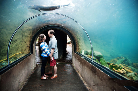 Baltimore Zoo Engagement by Laura Black Photography