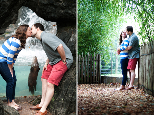 Baltimore Zoo Engagement by Laura Black Photography