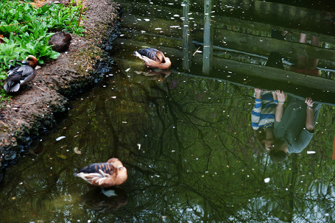Baltimore Zoo Engagement by Laura Black Photography