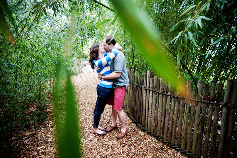 Baltimore Zoo Engagement by Laura Black Photography