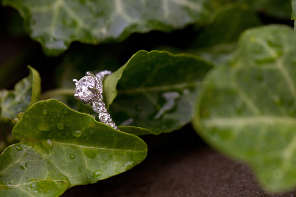 Loyola University Proposal by Liz & Ryan