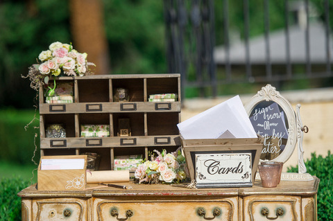 Evergreen Museum & Library Wedding by L Hewitt Photography