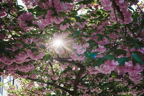 Baltimore Museum of Industry Wedding by Marcella Treybig