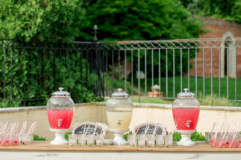 Evergreen Museum & Library Wedding by L Hewitt Photography