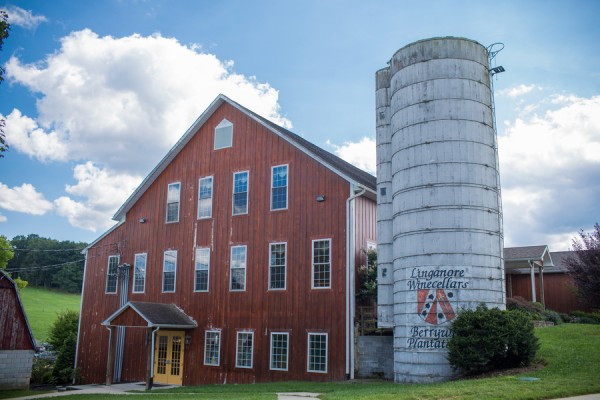 Park_Isennock_Photography_by_Brea_301352_082413Chalice101_low