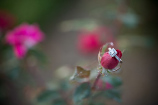 Serra_Husemann_Photography_by_Brea_300548_201308201A1A5993_low