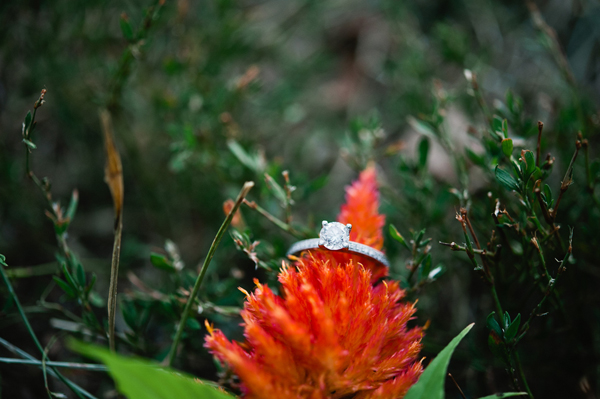 Federal Hill Engagement by Erin Wheeler Photography