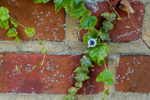 Kaite_Tim_E_Session-124