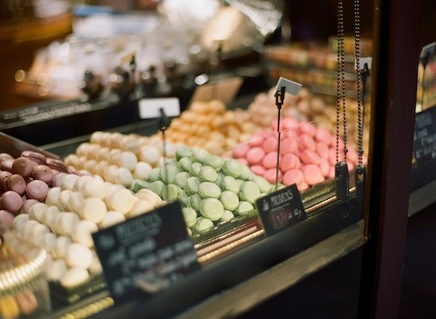 View More: http://abbygracephotography.pass.us/springmanns-in-europe