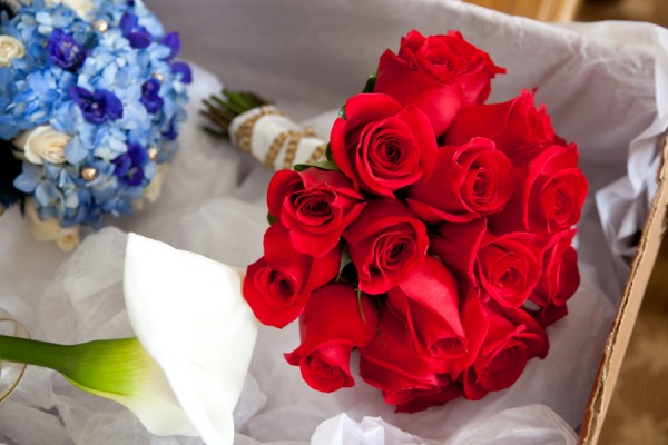 Venanzi_DeCarli_Carly_Fuller_Photography_59292_imKFbb97_low