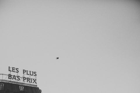 Vacation Destination: France by Nessa K Photography