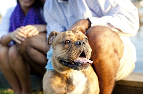 Maryland Engagement by Jen Harvey Photography