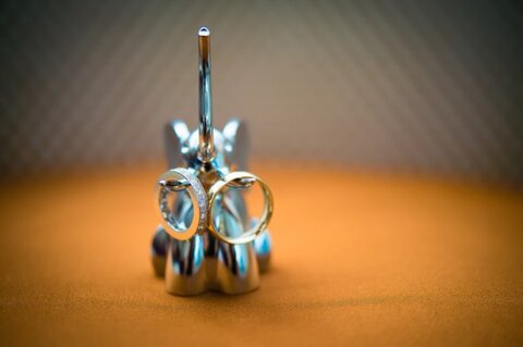MulticulturalAVAMWedding_MichelleVanTinePhotography_CharmCityWed_0001_wedding_rings_elephant
