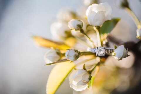 HowardCountyConservatoryEngagement_PhotographyByBrea_CharmCityWed_0001