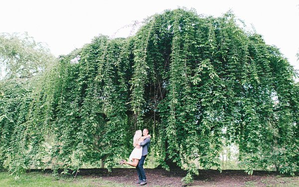 Brookside Engagement Photos  ||  Elizabeth Fogarty Photography  || Charm City Wed  ||  www.charmcitywed.com