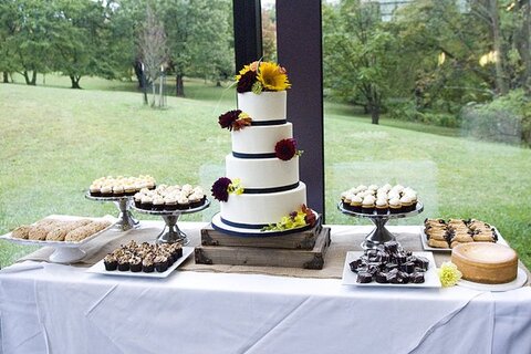 Wedding at Cylburn Arboretum