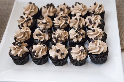 Wedding at Cylburn Arboretum