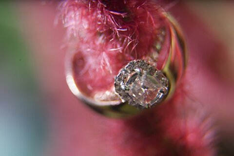 Baltimore Conservatory Wedding  ||  Jill Fannon Photography  ||  Charm City Wed  ||   www.charmcitywed.com