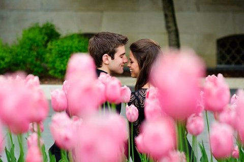 Baltimore City Hall Engagement Photos  ||  Annabelle Dando  ||  Charm City Wed  ||   www.charmcitywed.com