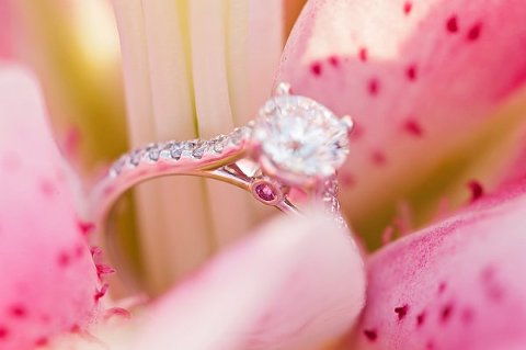 Oregon Ridge Engagement Proposal  ||   Johnna Frantz  ||  Charm City Wed   ||   www.charmcitywed.com